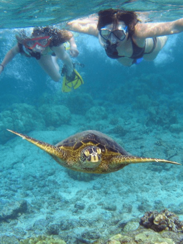 Top 10 snorkeling Destination in the USA