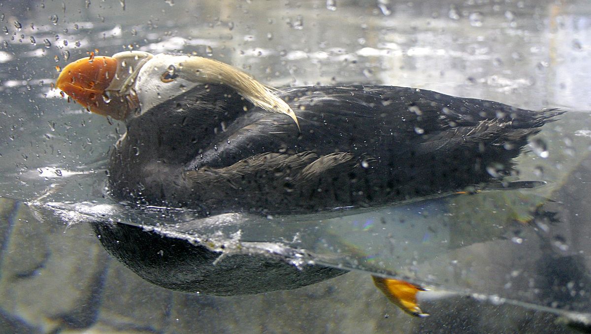 Henry Doorly Zoo and Aquarium