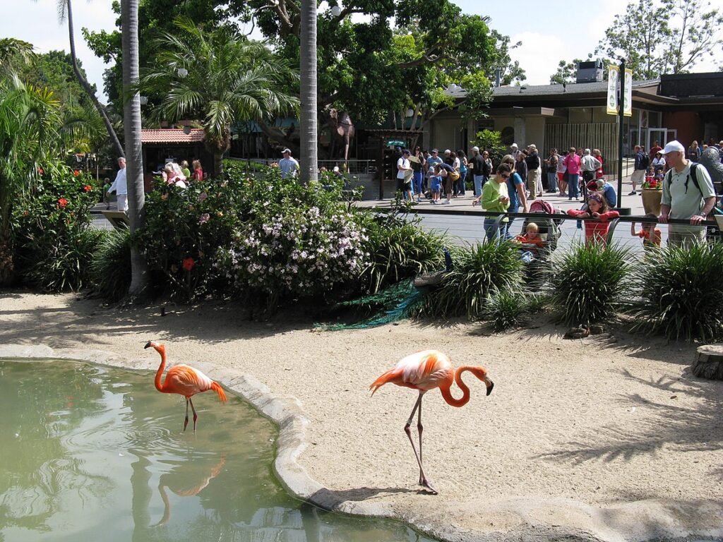 San Diego Zoo in California